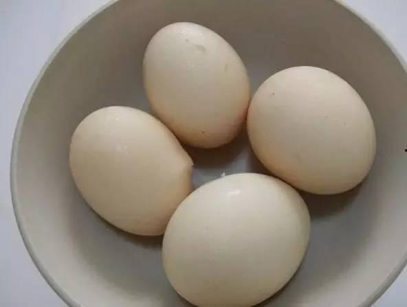 动物餐厅鸡蛋吃瓜,鸡蛋与瓜果的欢乐盛宴